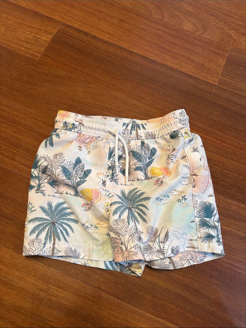 Janie and Jack 18-24 mo Swim Trunks
